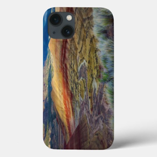 オレゴン州アメリカ丘の景色彩の鮮やか観 Case-Mate iPhoneケース (裏面)