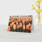 オレゴン州イエロー&ピンクチューリップフィールド カード (黄色い花)