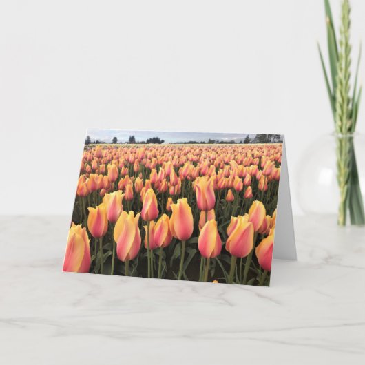 オレゴン州イエロー&ピンクチューリップフィールド カード (正面)