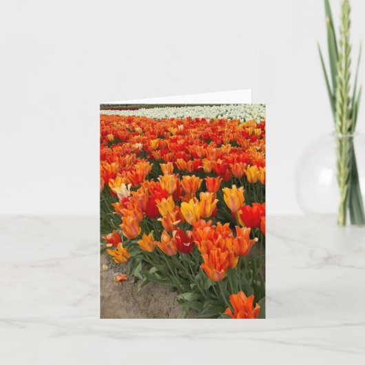 オレゴン州ウッドバーンのチューリップ畑 サンキューカード (正面)