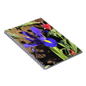 オレゴン州ウッドバーン、チューリップフィールドのアイリス ノートブック (右側)