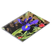 オレゴン州ウッドバーン、チューリップフィールドのアイリス ノートブック (左側)