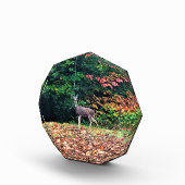 オレゴン州オレゴンの森の鹿 フォトブロック (右)