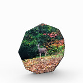 オレゴン州オレゴンの森の鹿 フォトブロック (左)