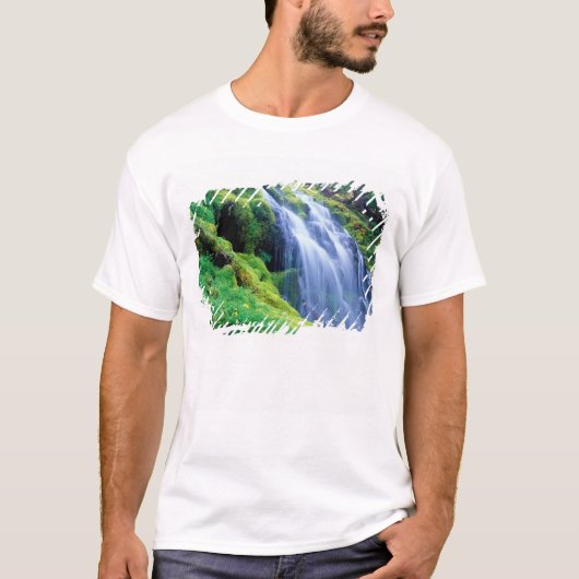 オレゴン州カスケード山脈中部のプロキシ・フォールズ Tシャツ (正面)