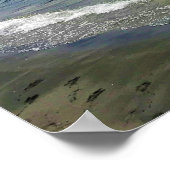 オレゴン州クレセント湖のSimax Bay ポスター (角)