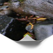 オレゴン州グリーンフォレストの川 ポスター (角)