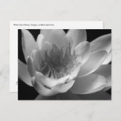 オレゴン州ケイザーのWater Lily in Black & White ポストカード (正面/裏面)
