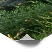 オレゴン州コロンビアリバーゲリュークラウンポイント ポスター (角)