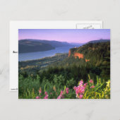 オレゴン州コロンビアリバーゲリュークラウンポイント ポストカード (正面/裏面)