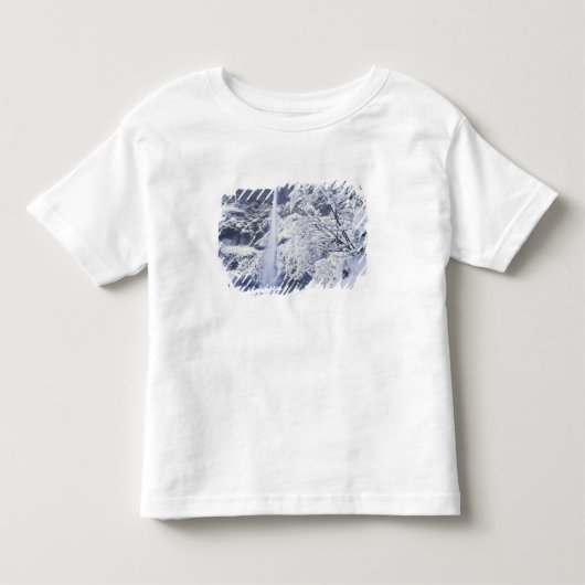 オレゴン州コロンビア川峡谷国立景勝地 トドラーTシャツ (正面)