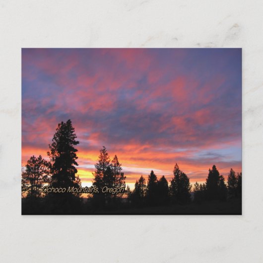 オレゴン州サンセットポストカード ポストカード (正面)