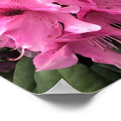 オレゴン州シントシア・ロードンドロン ポスター (角)