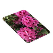 オレゴン州シントシア・ロードンドロン マグネット (右側)