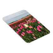 オレゴン州チューリップファーム マグネット (右側)