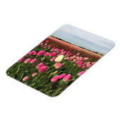 オレゴン州チューリップファーム マグネット (左側)