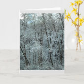 オレゴン州ティラモック州林の冬 カード (黄色い花)
