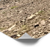 オレゴン州デトロイト湖 ポスター (角)