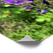 オレゴン州トレイルのワイルドフラワー ポスター (角)