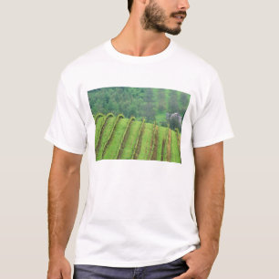 オレゴン州ニューバーグ近郊のブドウ園 Tシャツ