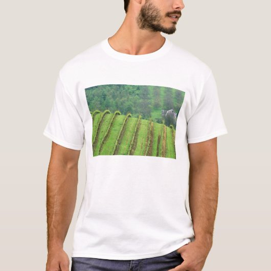 オレゴン州ニューバーグ近郊のブドウ園 Tシャツ (正面)