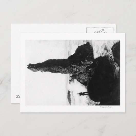 オレゴン州ニューポートの公爵夫人の岩 ポストカード (正面/裏面)