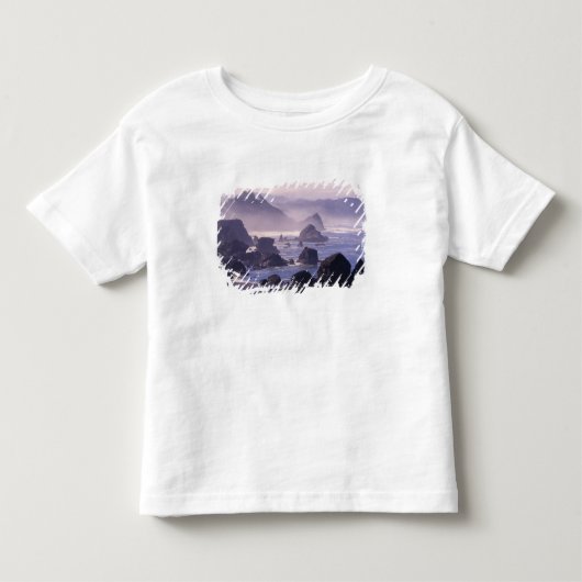 オレゴン州ネシカ近くの海岸沿いの朝の霧 トドラーTシャツ (正面)
