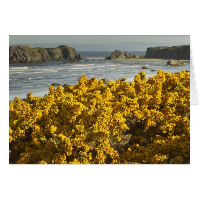 オレゴン州バンドンの沿岸部ビュー (正面横)