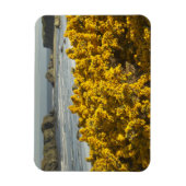 オレゴン州バンドンの沿岸部ビュー マグネット (縦)