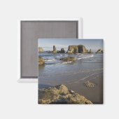 オレゴン州バンドンの沿岸部ビュー マグネット (正面/裏面)