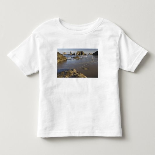 オレゴン州バンドンの海岸の景色 トドラーTシャツ (正面)
