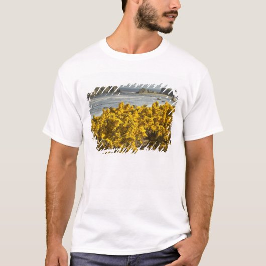 オレゴン州バンドンの海岸の景色 Tシャツ (正面)