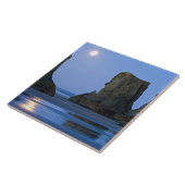 オレゴン州バンドンビーチでモクスト。 タイル (側面)