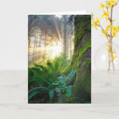 オレゴン州パシフィック・コースト・フォレスト カード (黄色い花)