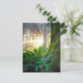 オレゴン州パシフィック・コースト・フォレスト ポストカード (スタンド正面)