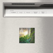 オレゴン州パシフィック・コースト・フォレスト マグネット (インサイチュ (食洗機))