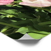 オレゴン州パープル&ピンクチューリップガーデンベッド ポスター (角)