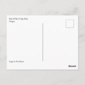 オレゴン州ピンク&レッドチューリップフィールド ポストカード (裏面)