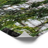 オレゴン州フィレンツェの近くの歴史的なミルウィグワムバーナー ポスター (角)