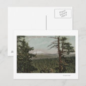 オレゴン州フッド山 – 遠くから見る山 ポストカード (正面/裏面)