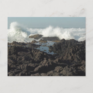 オレゴン州ブルッキングスはがき ポストカード