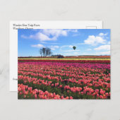 オレゴン州ホットエアバルーンで美しいチューリップフィールド ポストカード (正面/裏面)