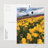 オレゴン州ホットエアバルーンで美しいチューリップフィールド ポストカード (正面/裏面)