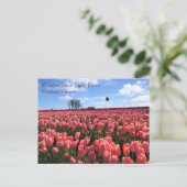 オレゴン州ホットエアバルーン付きピンクチューリップフィールド ポストカード (スタンド正面)