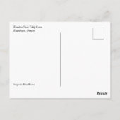 オレゴン州ホットエアバルーン付きピンクチューリップフィールド ポストカード (裏面)