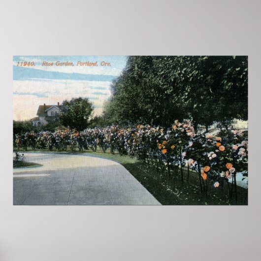 オレゴン州ポートランドバラ園 ポスター (正面)
