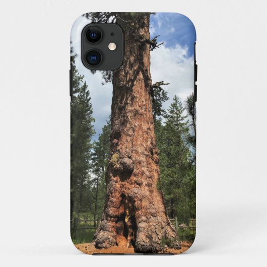 オレゴン州ラパインの巨木 Case-Mate iPhoneケース (裏面)