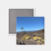 オレゴン州ラヴァバットトレイル マグネット (正面/裏面)