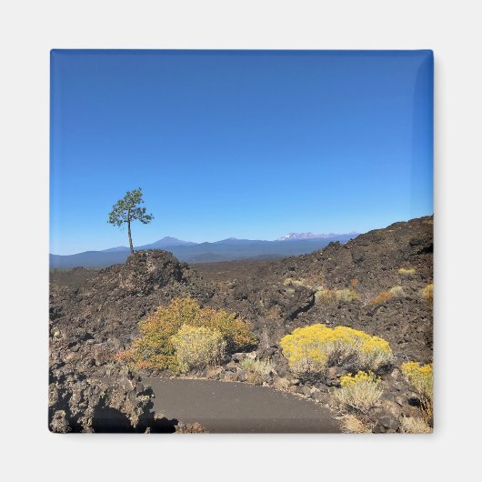 オレゴン州ラヴァバットトレイル マグネット (正面)