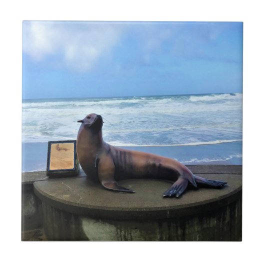 オレゴン州リンカーン・シティ・ネルスコット・リーフ タイル (正面)